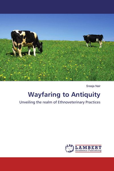 Produktbild: Wayfaring to Antiquity