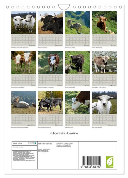 Produktbild: Kuhportraits Hornk&uuml;he (Wandkalender 2026 DIN A4 hoch), CALVENDO Monatskalender