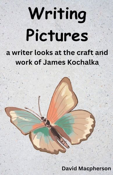 Produktbild: Writing Pictures