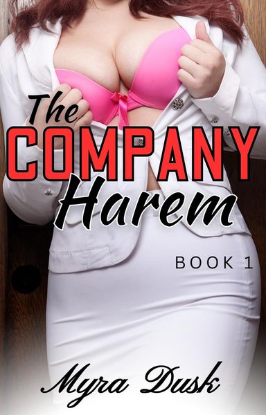 Produktbild: The Company Harem, Book 1