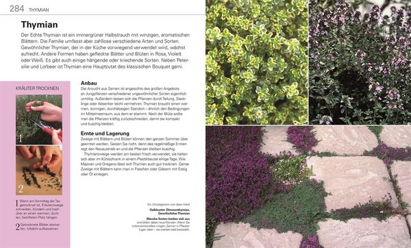 Produktbild: Gem&uuml;se f&uuml;r jeden Garten