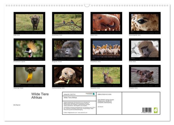 Produktbild: Wilde Tiere Afrikas (Wandkalender 2026 DIN A2 quer), CALVENDO Monatskalender