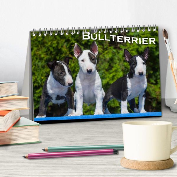 Produktbild: Bullterrier (Tischkalender 2026 DIN A5 quer), CALVENDO Monatskalender