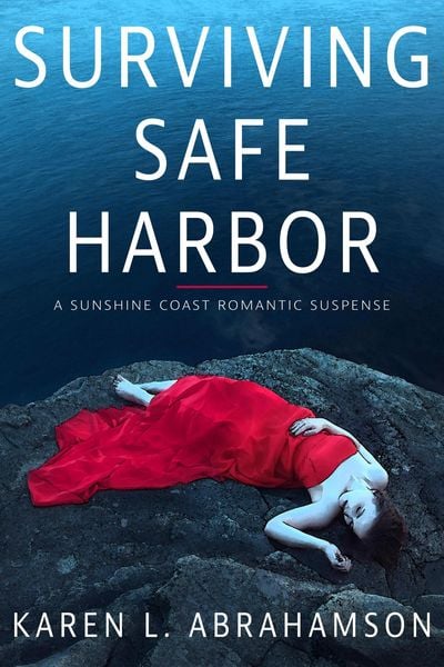 Produktbild: Surviving Safe Harbor