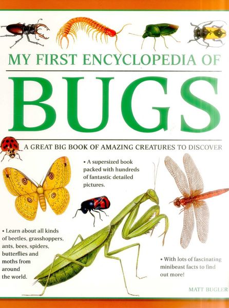 Produktbild: My First Encyclopedia of Bugs (giant Size)