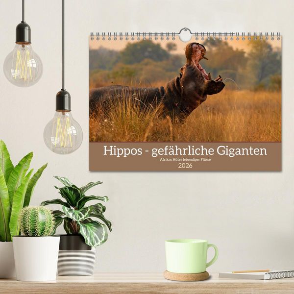 Produktbild: Hippos - Gef&auml;hrliche Giganten (Wandkalender 2026 DIN A4 quer), CALVENDO Monatskalender