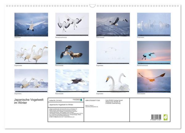 Produktbild: Japanische Vogelwelt im Winter (Wandkalender 2027 DIN A2 quer), CALVENDO Monatskalender