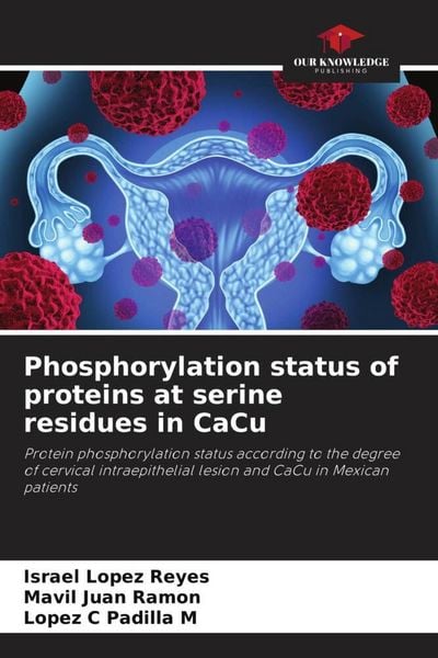 Produktbild: Phosphorylation status of proteins at serine residues in CaCu