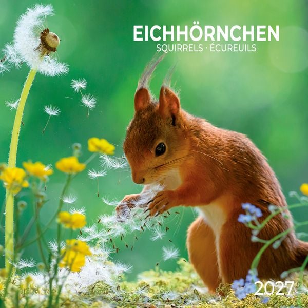 Produktbild: Eichh&ouml;rnchen / Squirrels 2027
