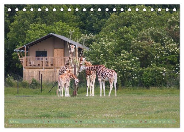 Produktbild: D&auml;nemark Lolland Ein Urlaub voller Mythen und Sch&ouml;nheiten (Tischkalender 2027 DIN A5 quer), CALVENDO Monatskalender