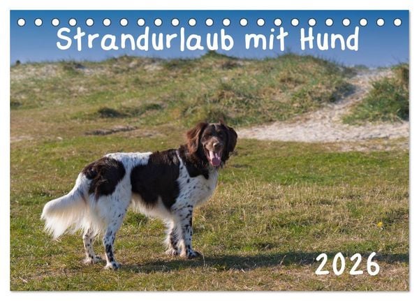 Produktbild: Strandurlaub mit Hund (Tischkalender 2026 DIN A5 quer), CALVENDO Monatskalender