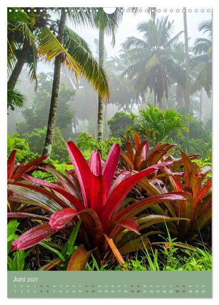 Produktbild: Bromelienzauber (Wandkalender 2027 DIN A3 hoch), CALVENDO Monatskalender