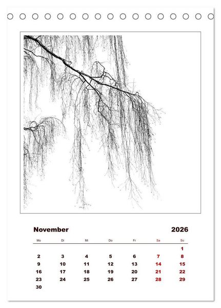 Produktbild: LignoGrafica - Muster und Strukturen der B&auml;ume (Tischkalender 2026 DIN A5 hoch), CALVENDO Monatskalender