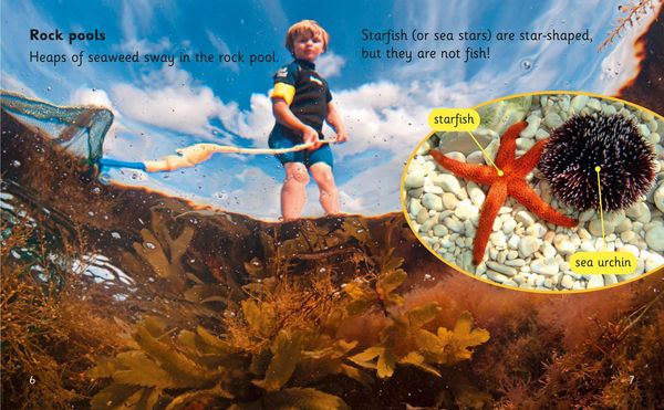 Produktbild: Beaches and Bays