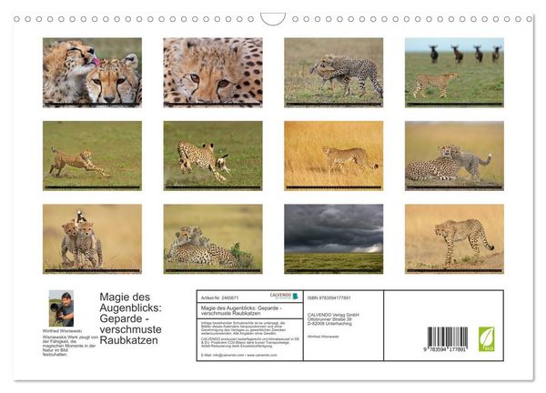 Produktbild: Magie des Augenblicks: Geparde - verschmuste Raubkatzen (Wandkalender 2027 DIN A3 quer), CALVENDO Monatskalender