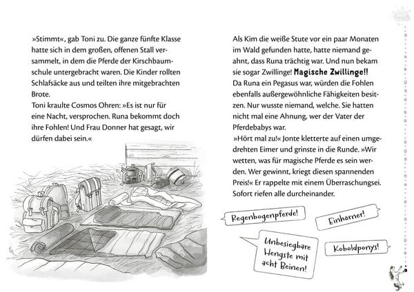 Produktbild: Die Schule der Herzenspferde 3: Zorro & Elin