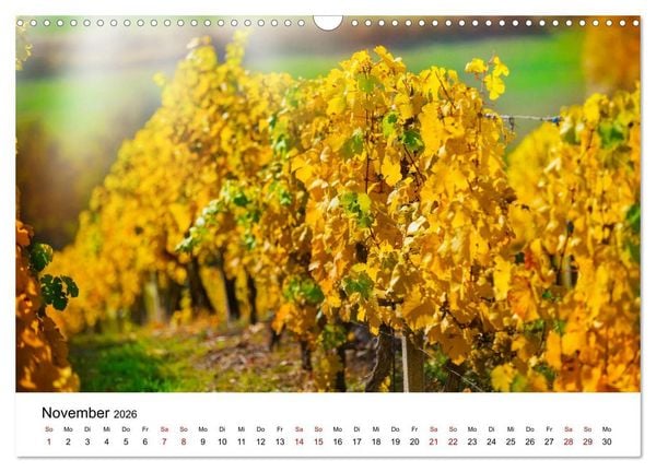 Produktbild: Weinkalender (Wandkalender 2026 DIN A3 quer), CALVENDO Monatskalender