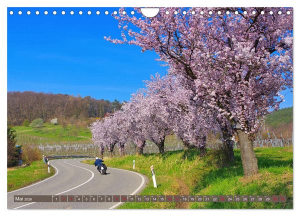 Produktbild: Mandelbl&uuml;tenzauber an der Deutschen Weinstra&szlig;e (Wandkalender 2026 DIN A4 quer), CALVENDO Monatskalender