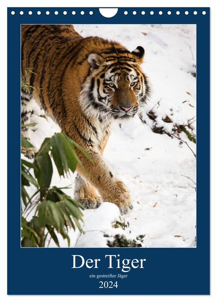 Der Tiger - ein gestreifter Jäger (Wandkalender 2024 DIN A4 hoch), CALVENDO Monatskalender