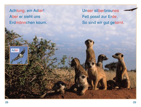Produktbild: SUPERLESER! Tiere, top getarnt