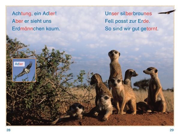 Produktbild: SUPERLESER! Tiere, top getarnt