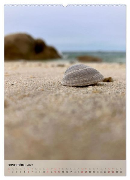 Produktbild: Plages et coquillages (Calendrier mural 2027 DIN A2 horizontal), CALVENDO calendrier mensuel
