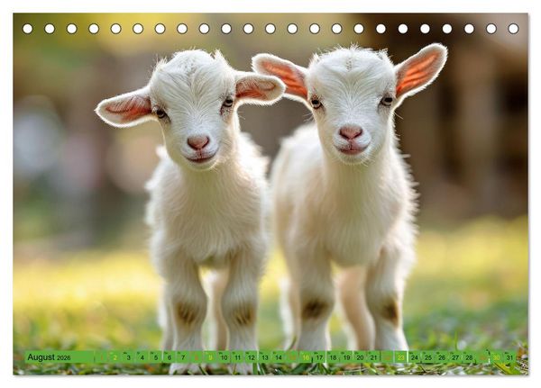 Produktbild: Tierkinder auf dem Land (Tischkalender 2026 DIN A5 quer), CALVENDO Monatskalender
