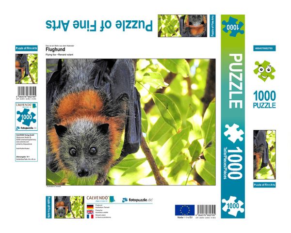 Produktbild: CALVENDO Puzzle Flughund | 1000 Teile Lege-Gr&ouml;&szlig;e 64x48cm Foto-Puzzle f&uuml;r gl&uuml;ckliche Stunden