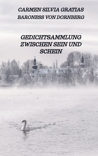 Produktbild: Gedichtsammlung zwischen Sein und Schein