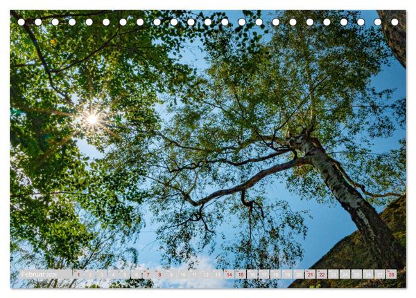 Produktbild: Naturpark Zittauer Gebirge (Tischkalender 2026 DIN A5 quer), CALVENDO Monatskalender