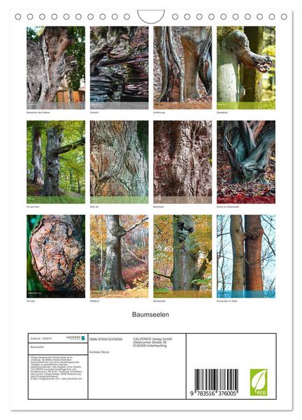 Produktbild: Baumseelen (Wandkalender 2026 DIN A4 hoch), CALVENDO Monatskalender