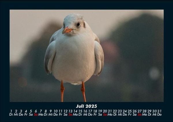 Produktbild: Hamburg 2025 Fotokalender DIN A5