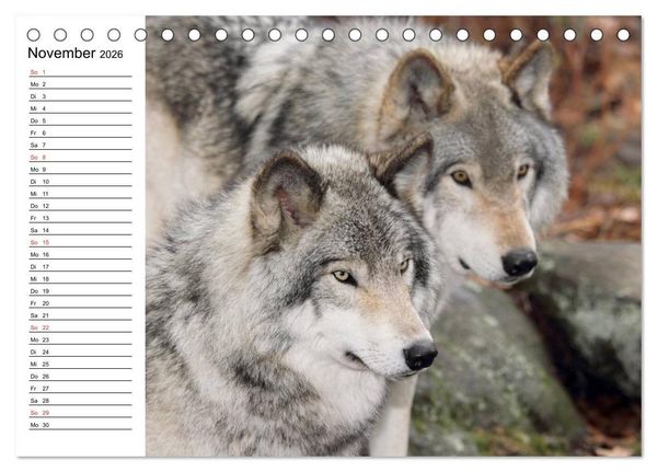Produktbild: Alaska und Kanada (Tischkalender 2026 DIN A5 quer), CALVENDO Monatskalender