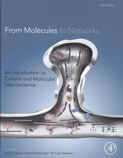 Produktbild: From Molecules to Networks