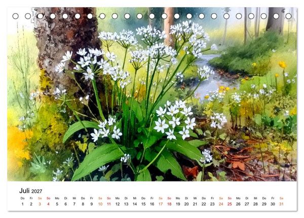 Produktbild: Wildblumen zwischen Moos und Farn (Tischkalender 2027 DIN A5 quer), CALVENDO Monatskalender