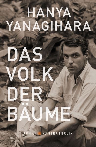Produktbild: Das Volk der B&auml;ume