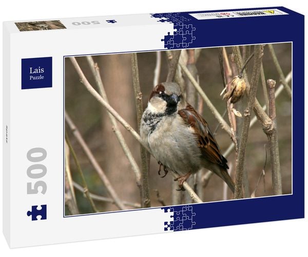 Produktbild: Lais Puzzle Spatz 500 Teile