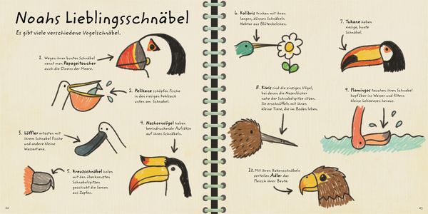 Produktbild: Natur vor der T&uuml;r. Noah zeigt dir die V&ouml;gel