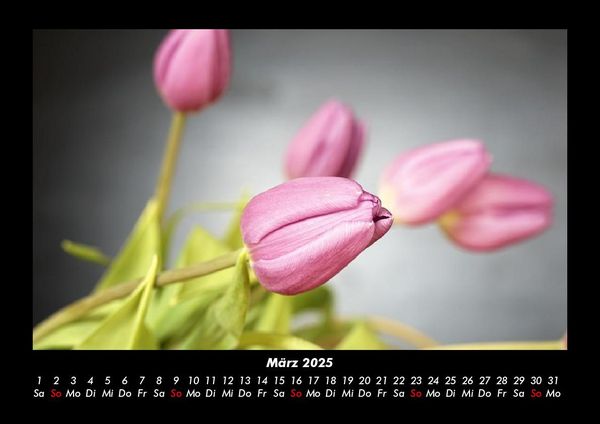 Produktbild: Blumenkalender 2025 Fotokalender DIN A3