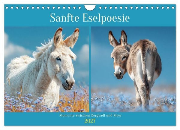 Produktbild: Sanfte Eselpoesie. Momente zwischen Bergwelt und Meer (Wandkalender 2027 DIN A4 quer), CALVENDO Monatskalender