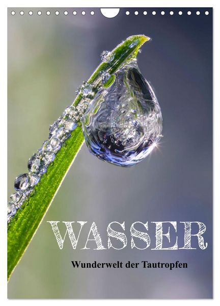 Produktbild: Wasser - Wunderwelt der Tautropfen (Wandkalender 2026 DIN A4 hoch), CALVENDO Monatskalender