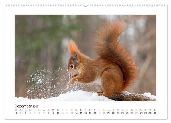 Produktbild: Wiener Tierwelt (hochwertiger Premium Wandkalender 2026 DIN A2 quer), Kunstdruck in Hochglanz