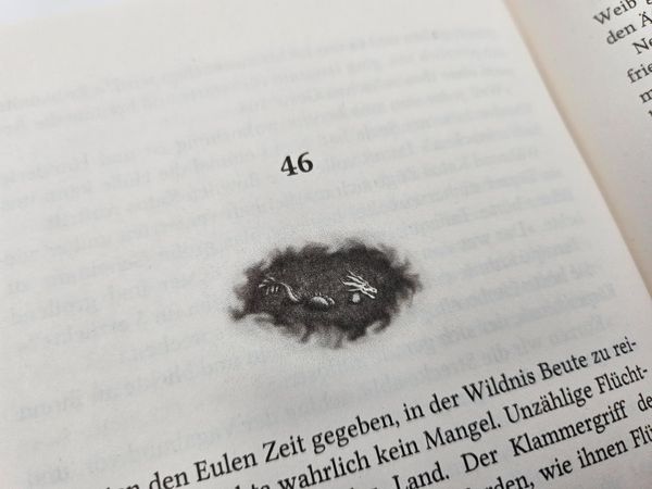 Produktbild: Weltengesang