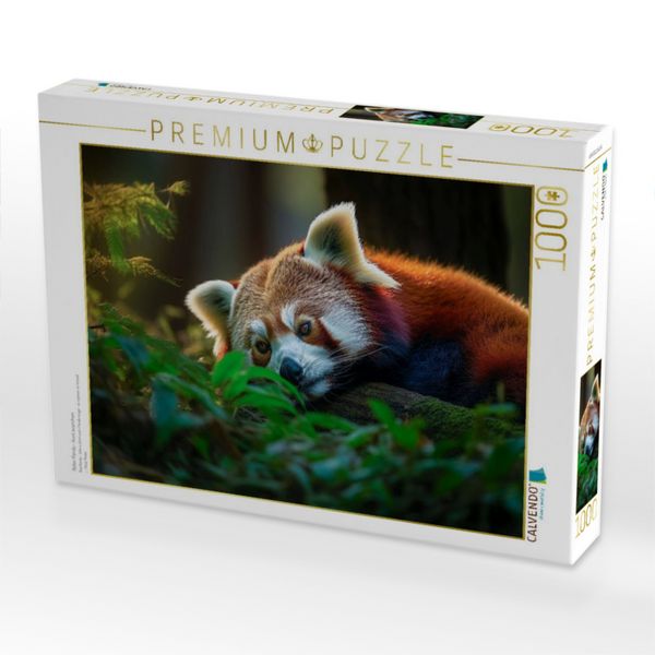 Produktbild: CALVENDO Puzzle Roter Panda - kurz ausruhen | 1000 Teile Lege-Gr&ouml;&szlig;e 64x48cm Foto-Puzzle f&uuml;r gl&uuml;ckliche Stunden