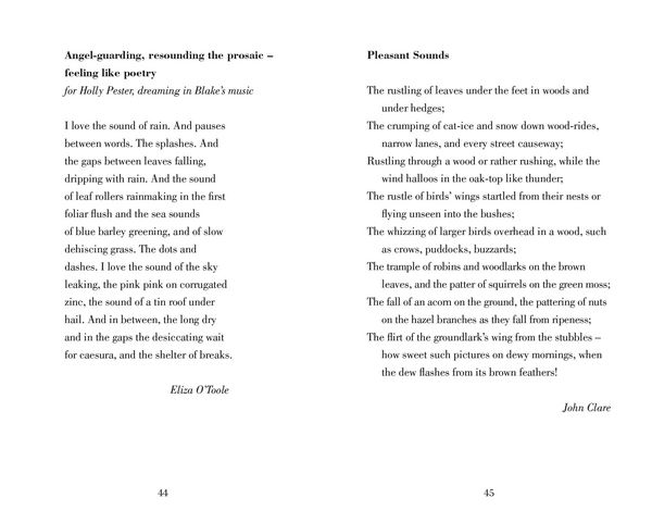 Produktbild: Poetry Prescription: Joy