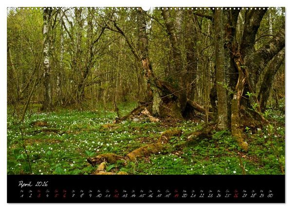 Produktbild: RH&Ouml;N = SCH&Ouml;N (hochwertiger Premium Wandkalender 2026 DIN A2 quer), Kunstdruck in Hochglanz