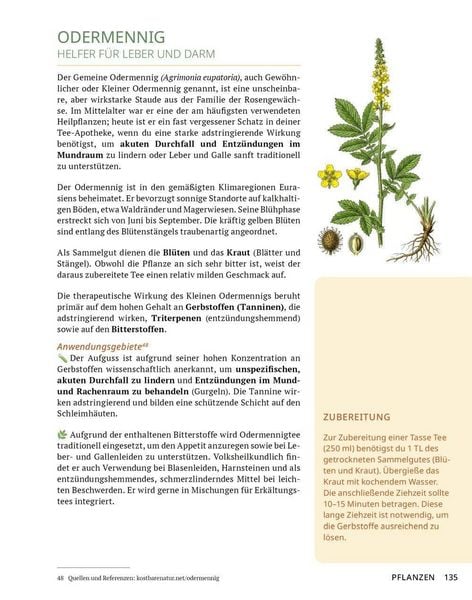 Produktbild: Die Tee-Apotheke
