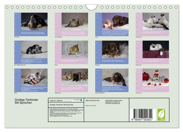 Produktbild: Drollige Tierkinder Mit Spr&uuml;chen (Wandkalender 2026 DIN A4 quer), CALVENDO Monatskalender