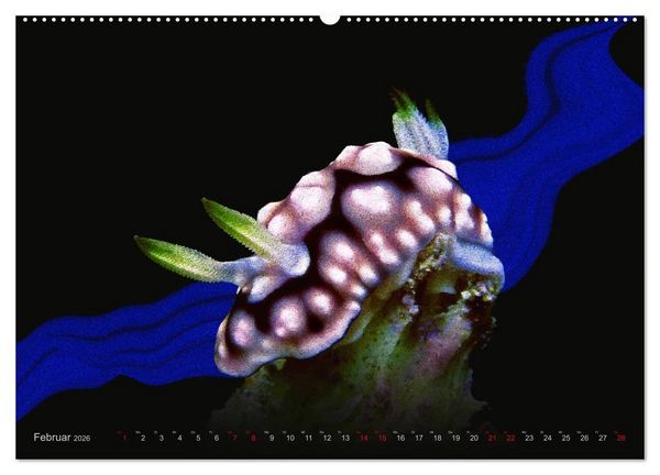 Produktbild: Artwork Unterwasser - Erlebnis Tauchen (hochwertiger Premium Wandkalender 2026 DIN A2 quer), Kunstdruck in Hochglanz