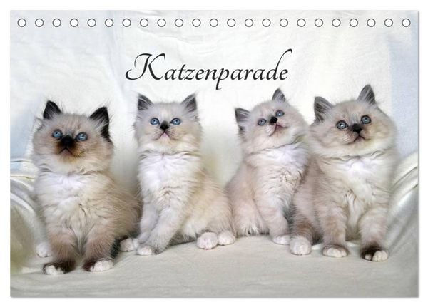 Produktbild: Katzenparade (Tischkalender 2026 DIN A5 quer), CALVENDO Monatskalender